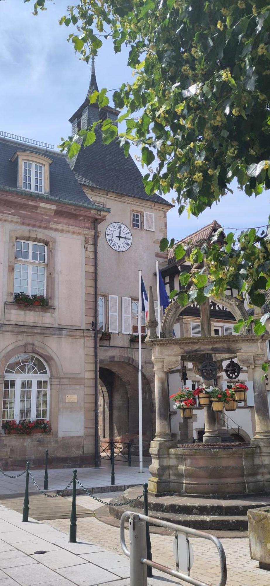La Maisonnette Bleue, Eco-Logis Equipe De Toilettes Seches Rosheim ภายนอก รูปภาพ