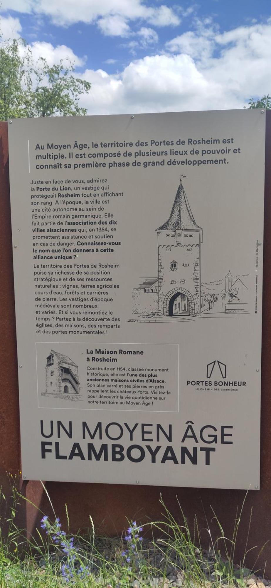 La Maisonnette Bleue, Eco-Logis Equipe De Toilettes Seches Rosheim ภายนอก รูปภาพ