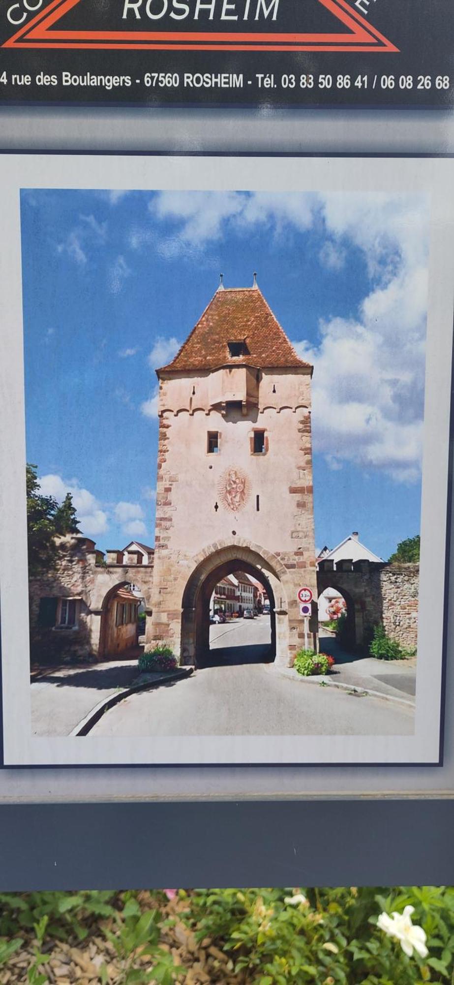 La Maisonnette Bleue, Eco-Logis Equipe De Toilettes Seches Rosheim ภายนอก รูปภาพ