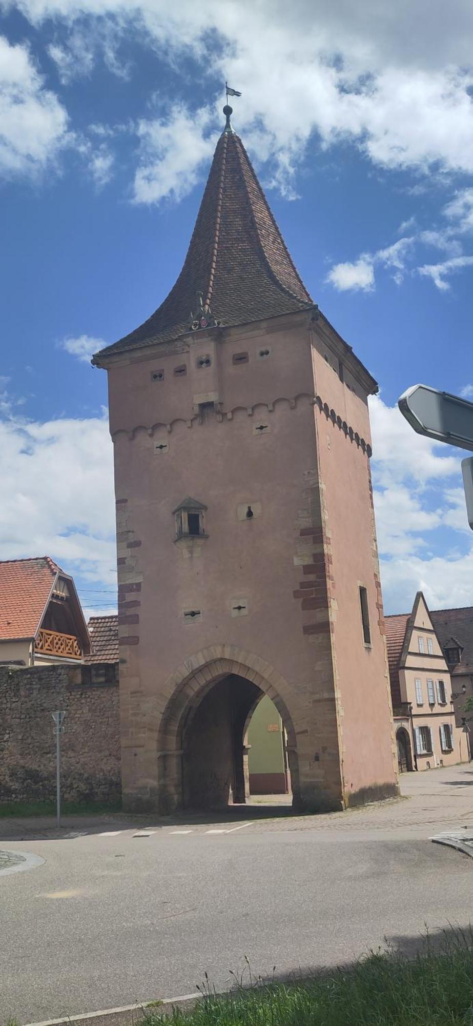 La Maisonnette Bleue, Eco-Logis Equipe De Toilettes Seches Rosheim ภายนอก รูปภาพ